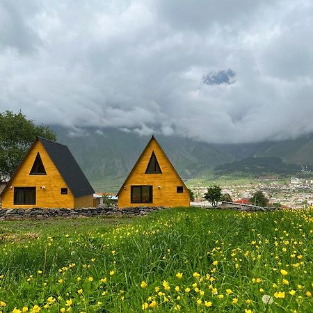 Pine Chalet Kazbegi Экстерьер фото