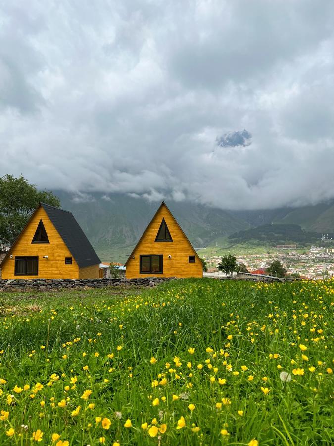 Pine Chalet Kazbegi Экстерьер фото