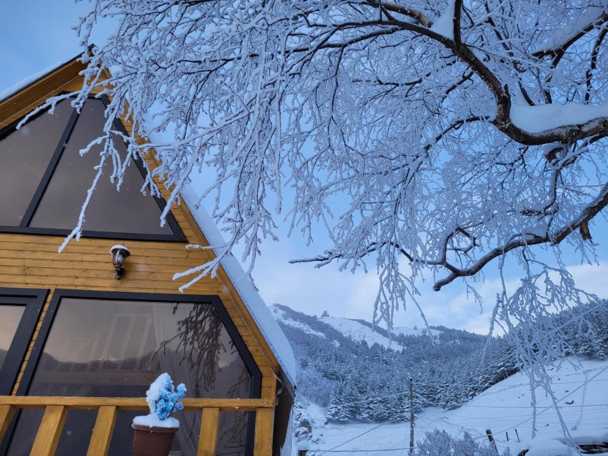 Pine Chalet Kazbegi Экстерьер фото