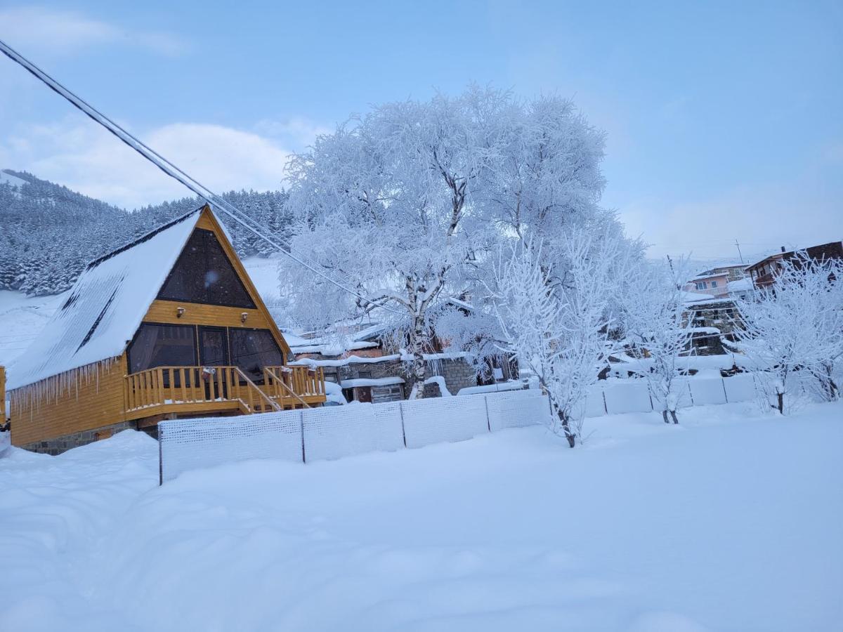 Pine Chalet Kazbegi Экстерьер фото