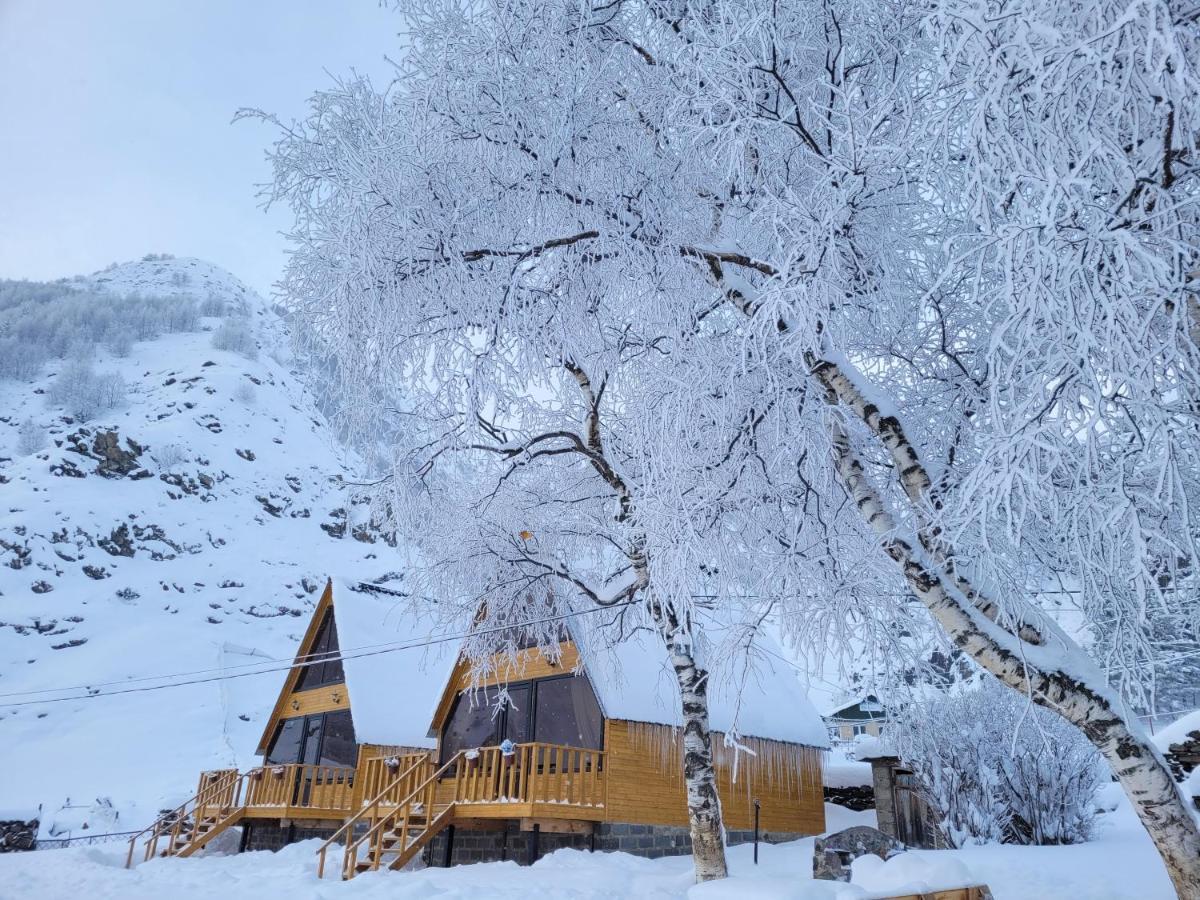 Pine Chalet Kazbegi Экстерьер фото