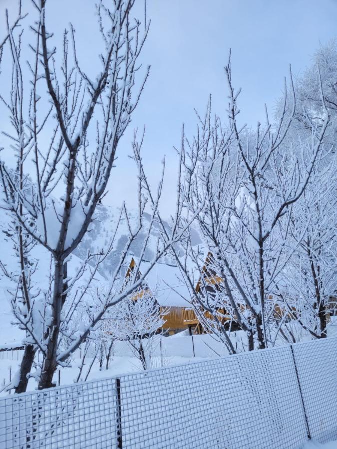 Pine Chalet Kazbegi Экстерьер фото