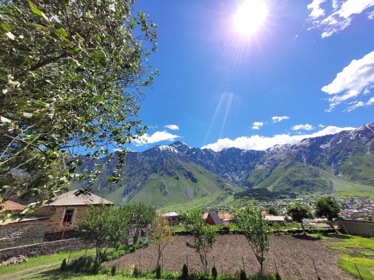 Pine Chalet Kazbegi Экстерьер фото