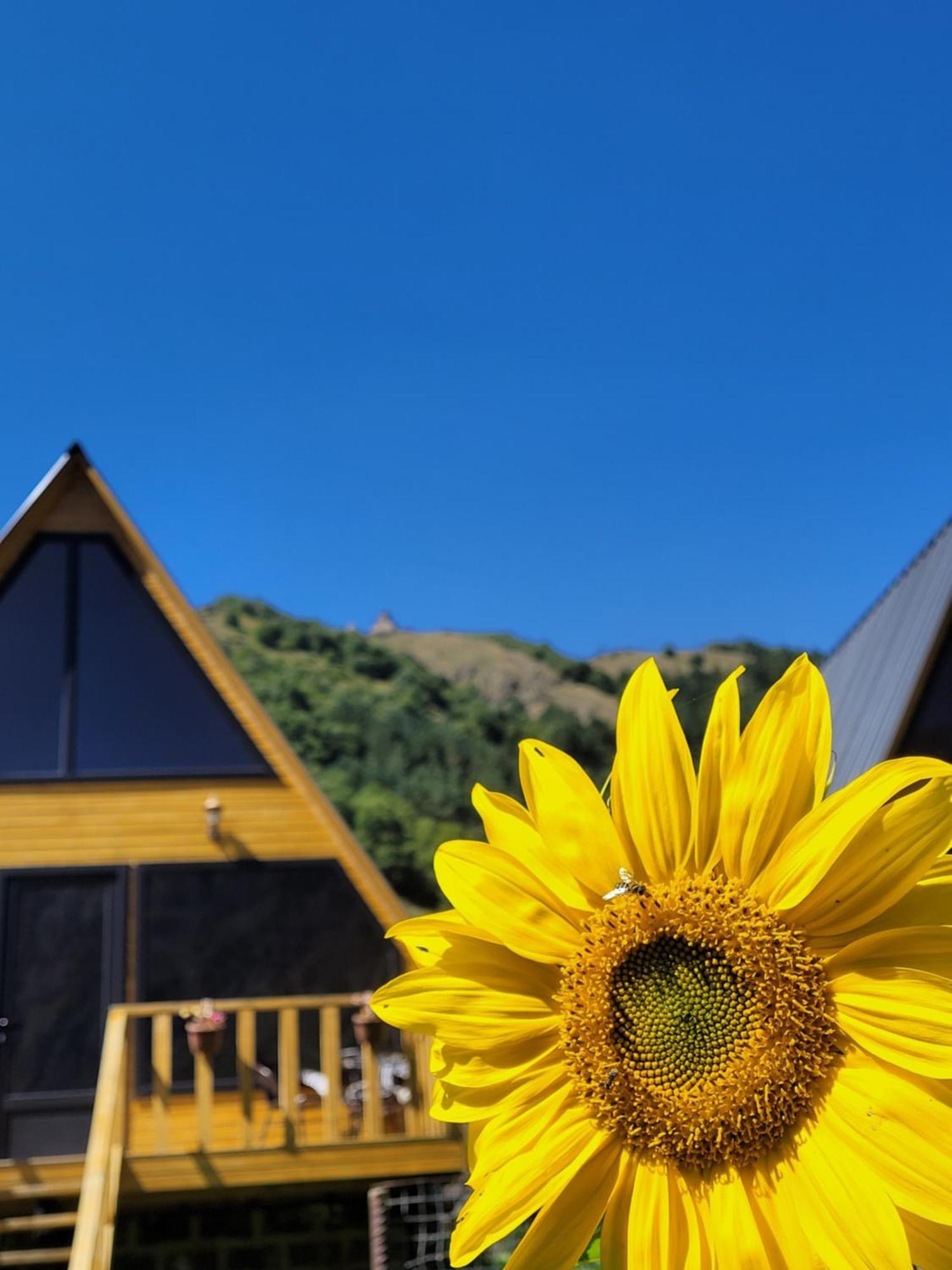 Pine Chalet Kazbegi Экстерьер фото